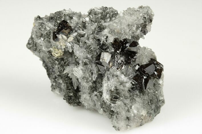 2.2" Gemmy Cassiterite Crystals On Quartz - Viloco Mine, Bolivia